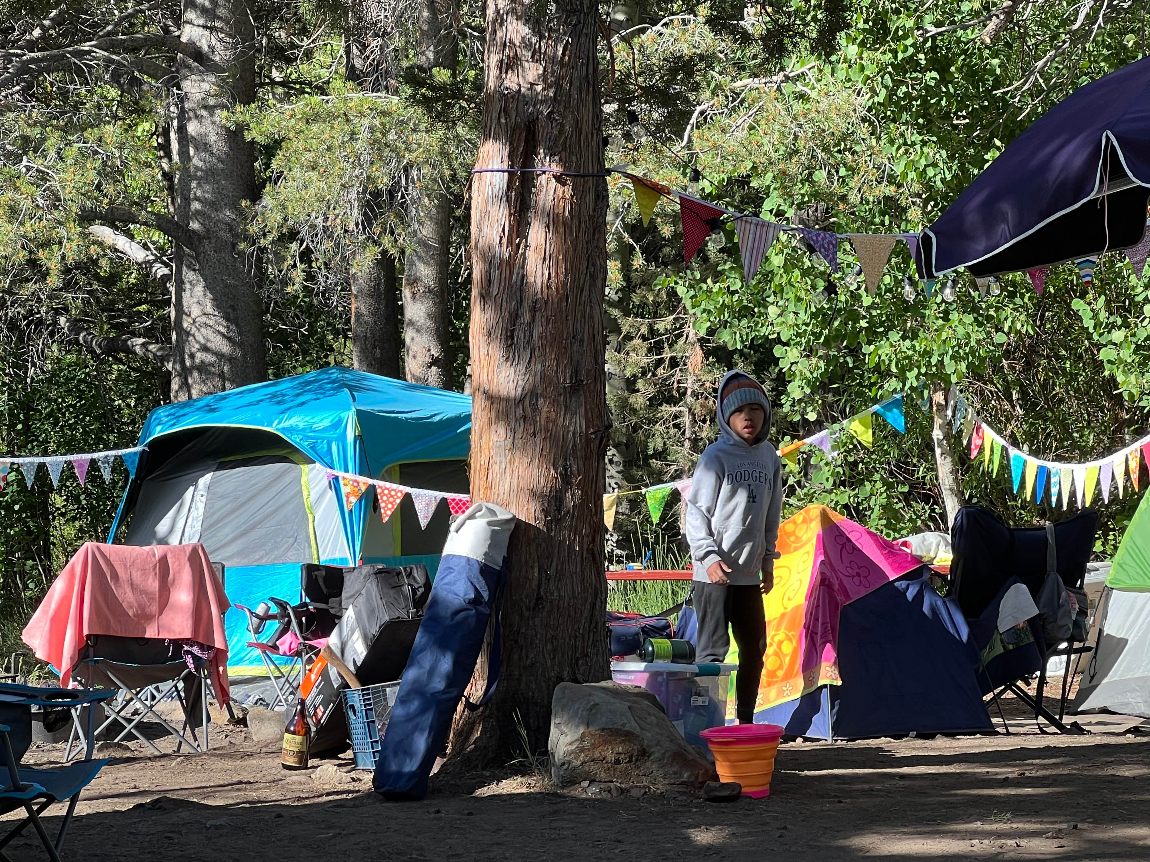 Camper-submitted photo at Lundy Lake Campground near Mono City, CA