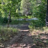 Review photo of Lundy Lake Campground by Cecilia P., September 19, 2022