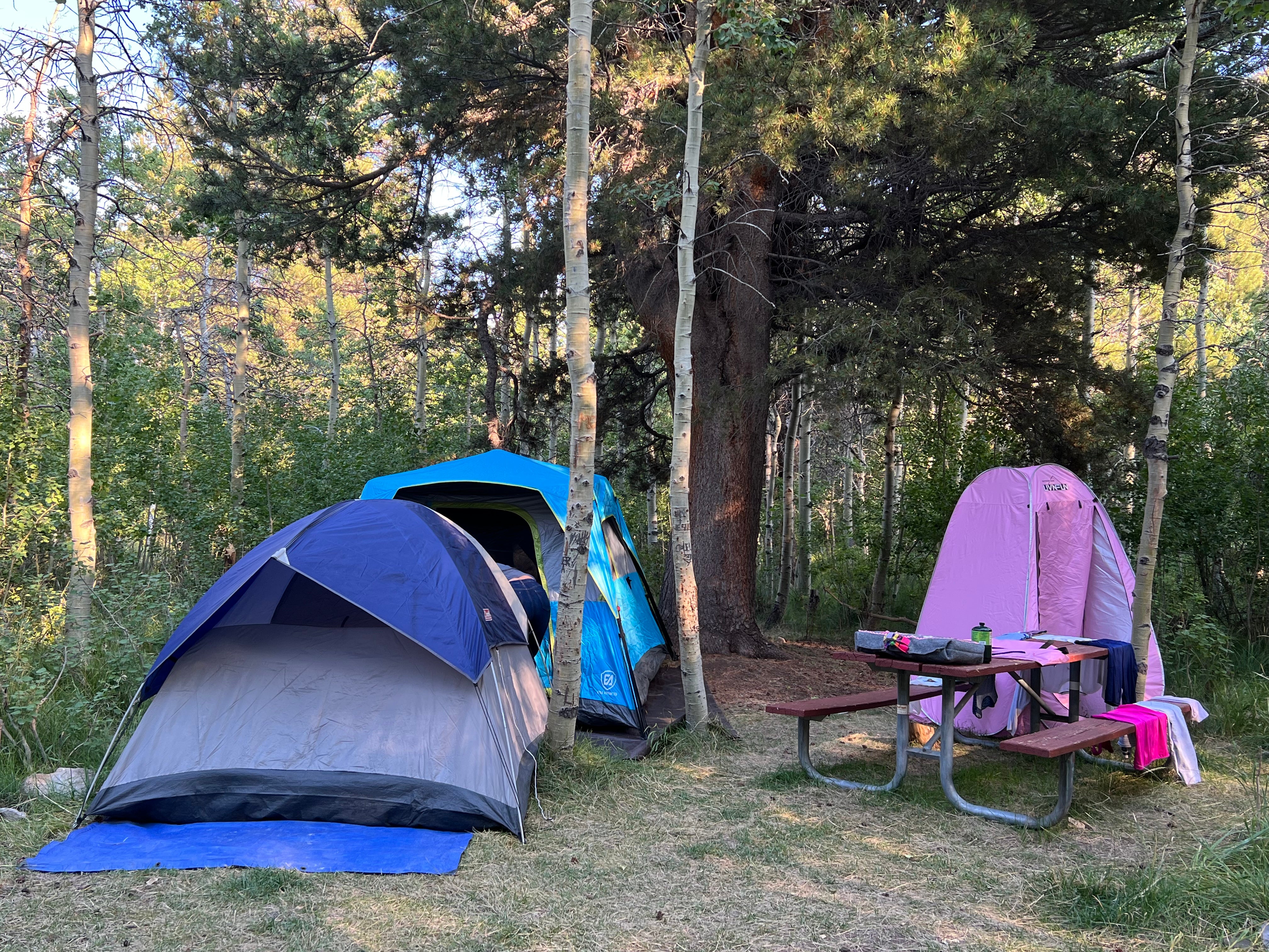 Camper submitted image from Lundy Lake Campground - 1