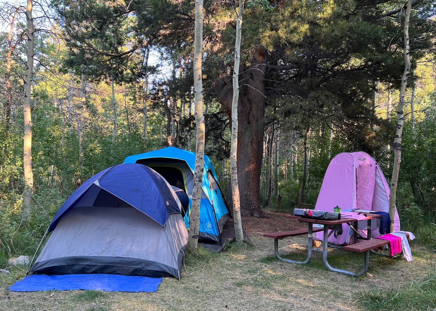 Lundy Lake Campground Camping The Dyrt