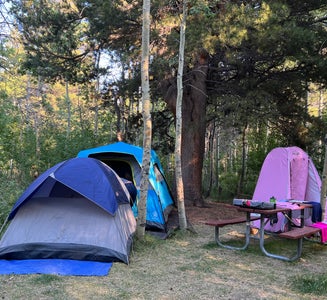 Camper-submitted photo from Lundy Lake Campground