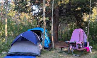 Camping near Upper Virginia Creek Campground: Lundy Lake Campground, Mono City, California