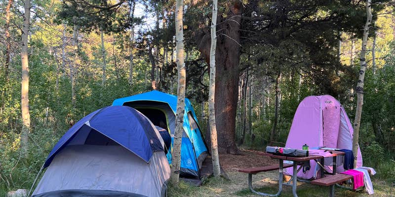 Camper submitted image from Lundy Lake Campground