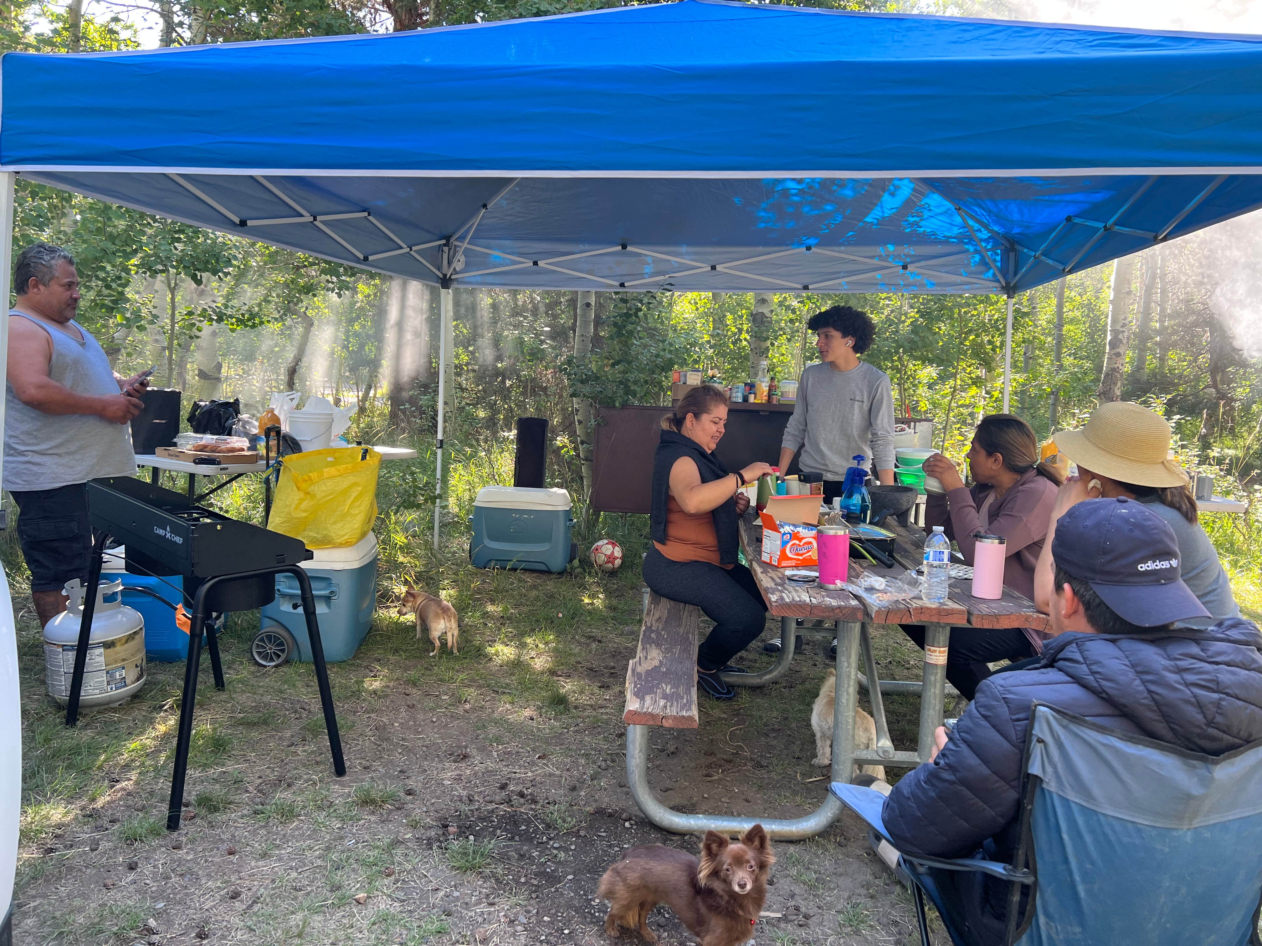 Camper-submitted photo at Lundy Lake Campground near Mono City, CA