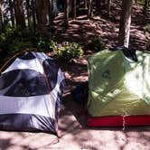 Review photo of Pine and Cedar Lakes Primitive Camping by Danielle S., August 4, 2016