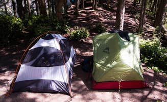 Danielle S.'s photo at Pine and Cedar Lakes Primitive Camping near Acme, WA