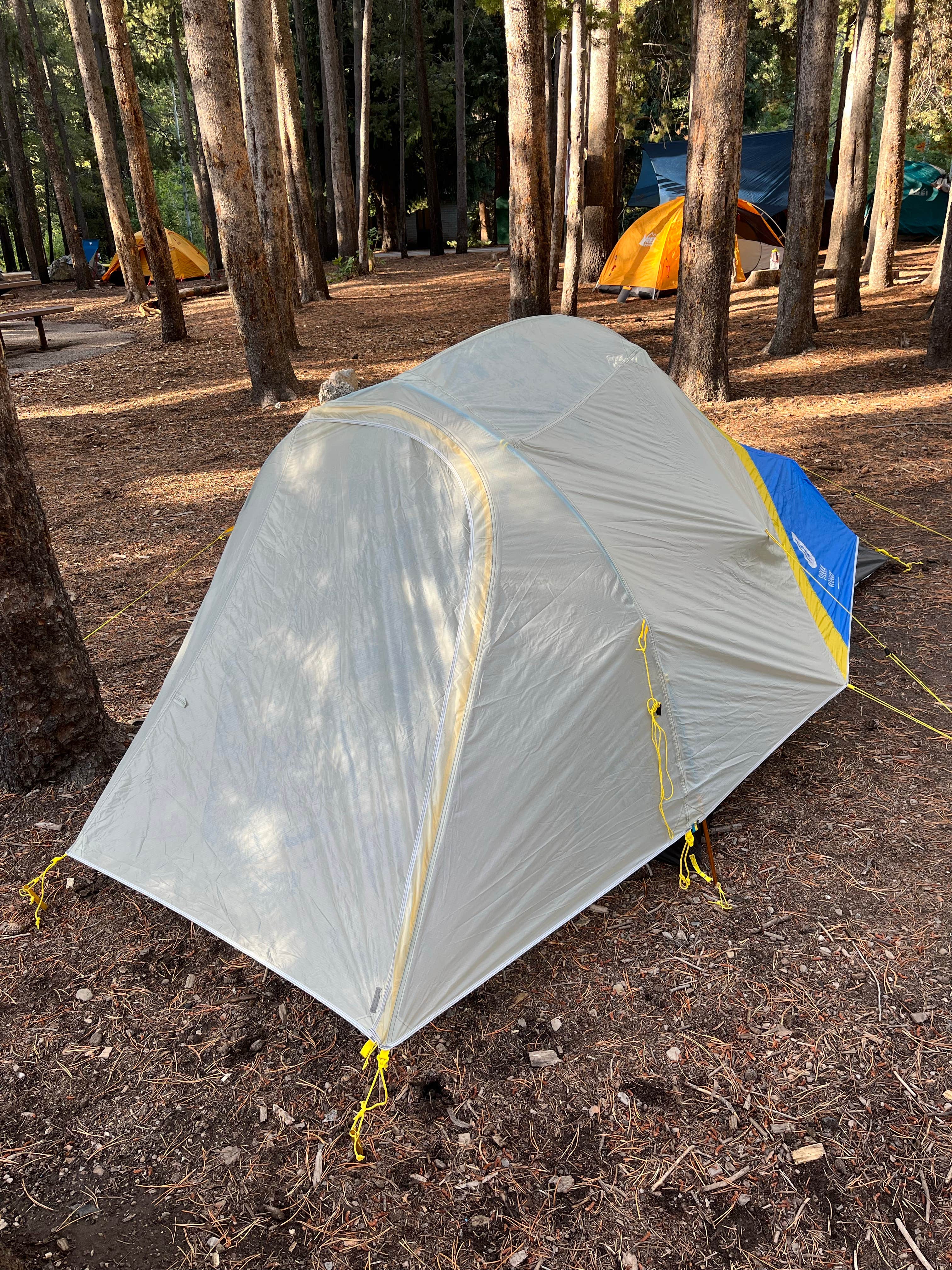 Dana's photo at Spruces - Big Cottonwood near Bountiful, UT