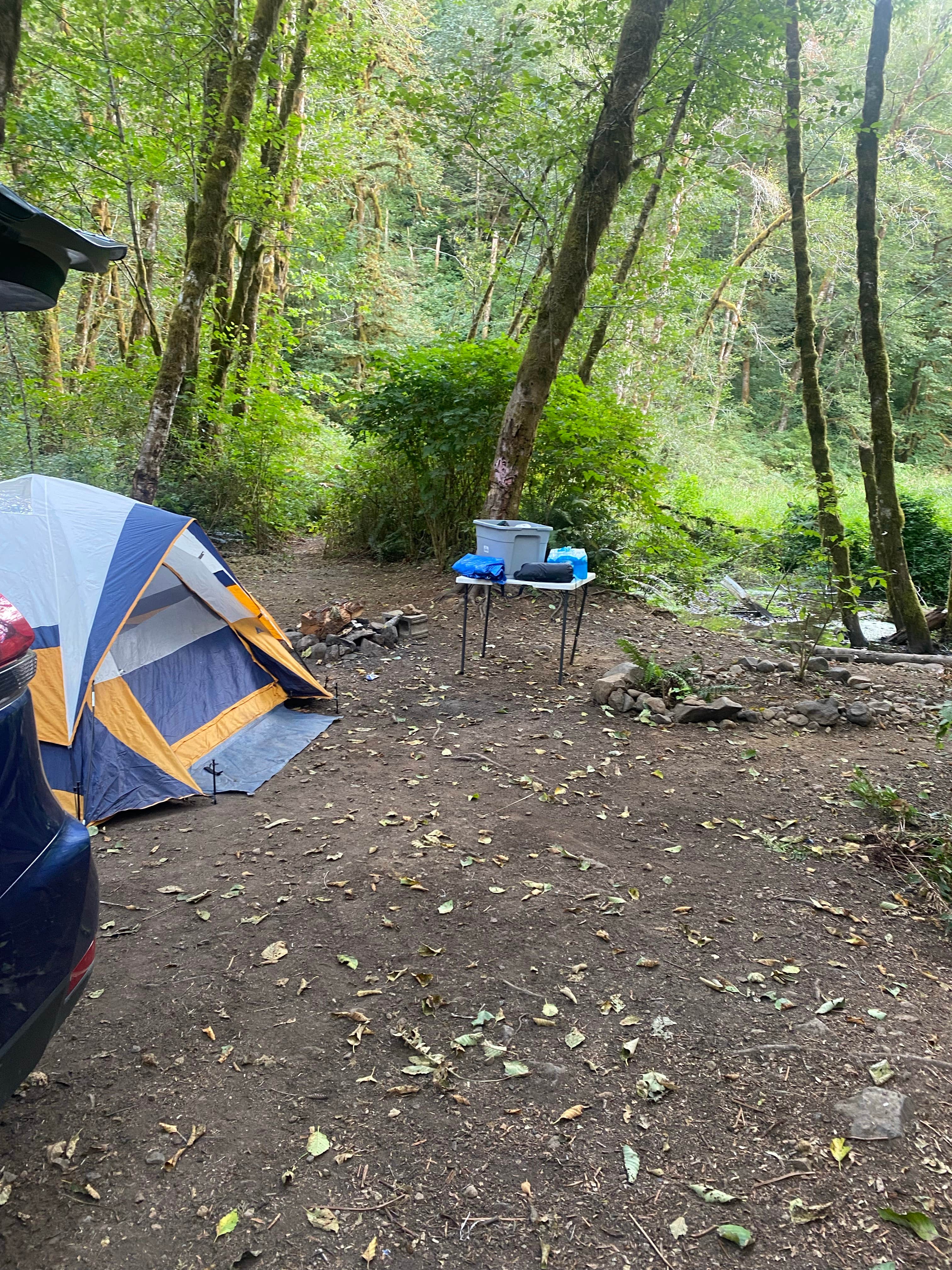 Miranda M.'s photo at Hult Pond near Fern Ridge Lake