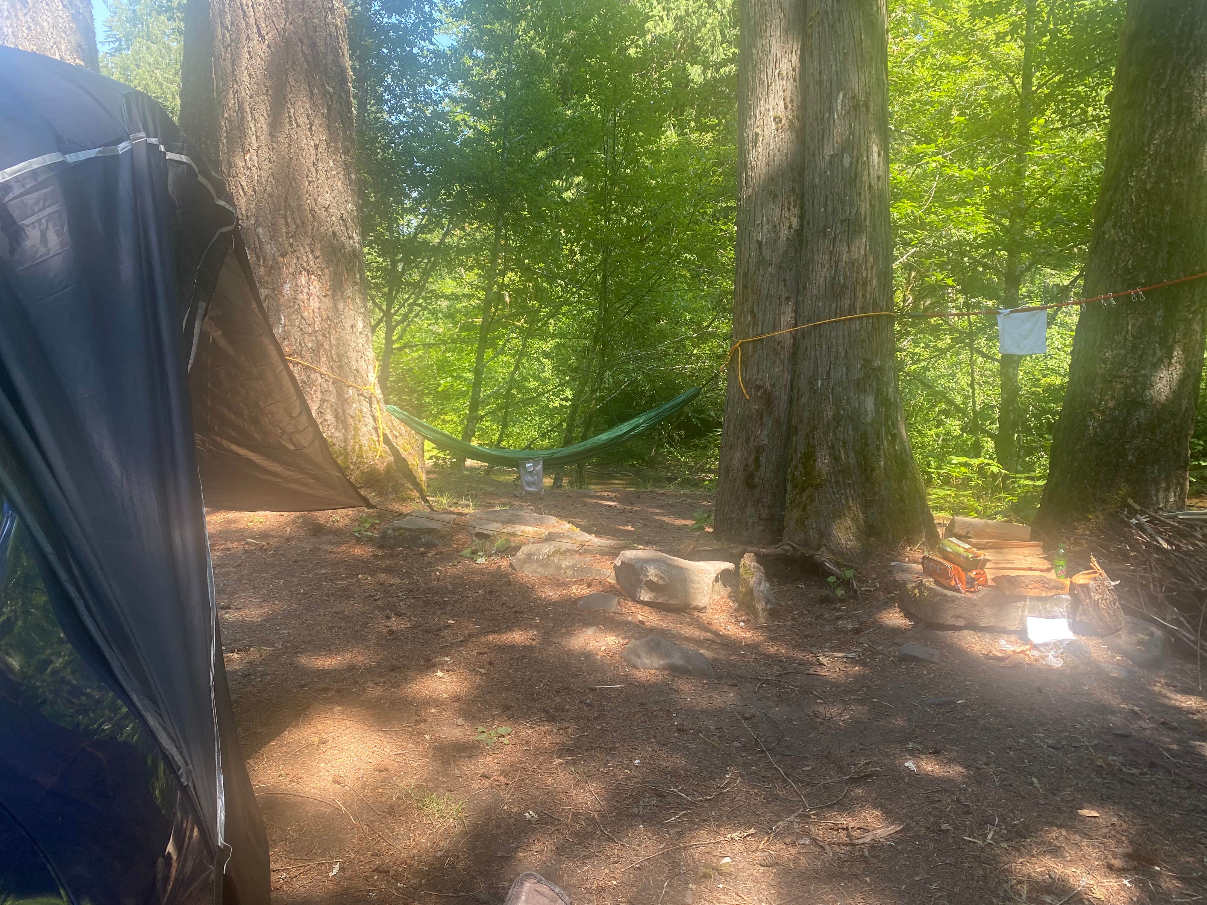 Miranda M.'s photo at Panther Creek Campground near Carson, WA