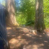Review photo of Panther Creek Campground by Miranda M., September 19, 2022