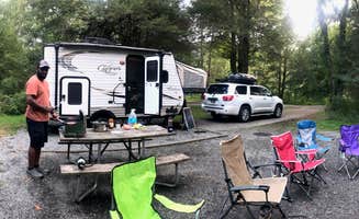 Macel C.'s photo at Davidson River Campground near Horse Shoe, NC