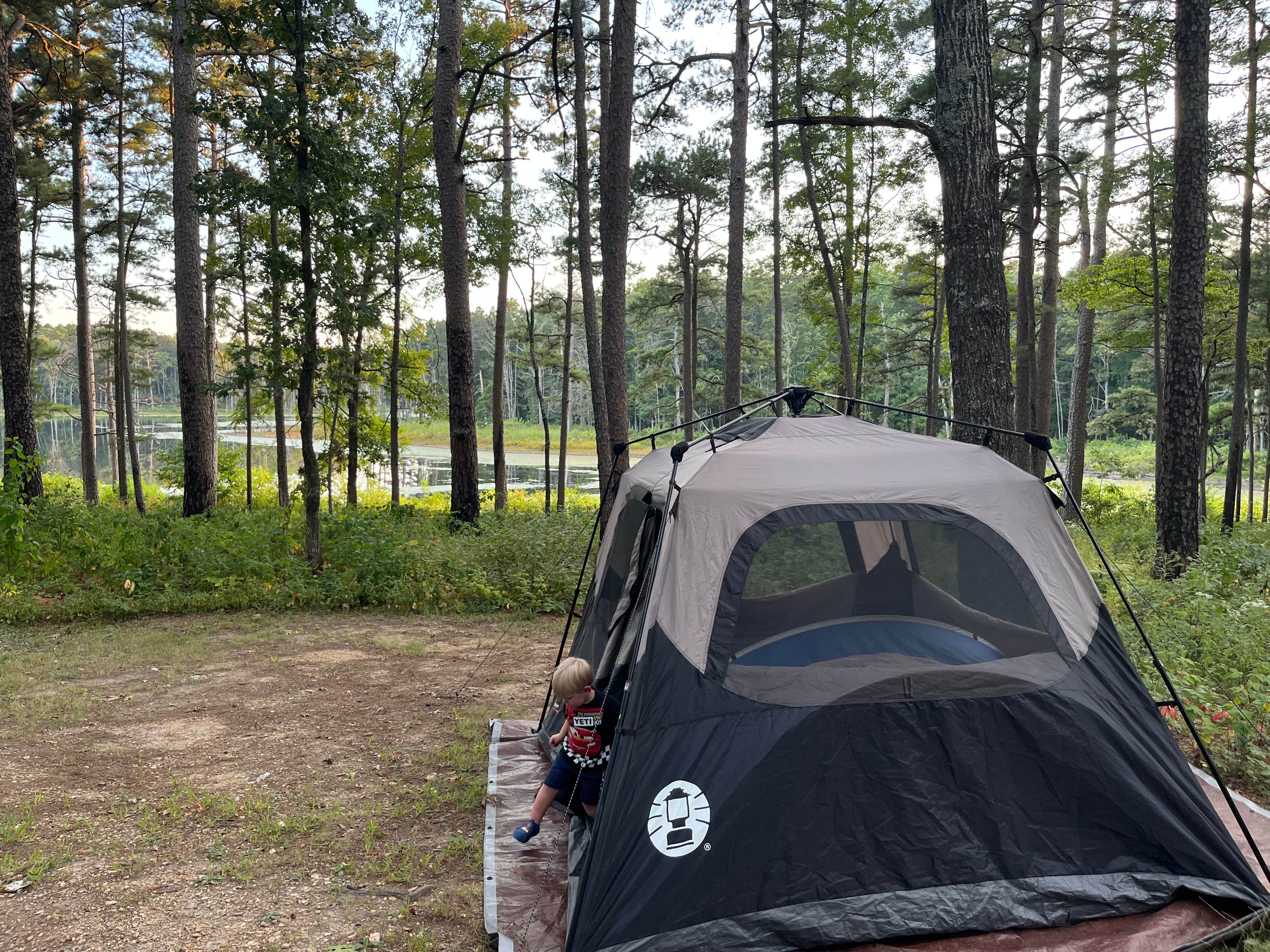 Thomas N.'s photo at Pinewoods Lake Rec Area — Mark Twain National Forest near Wappapello, MO