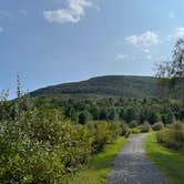 Review photo of Catskill/Kenneth L Wilson Campground by Tara F., September 19, 2022