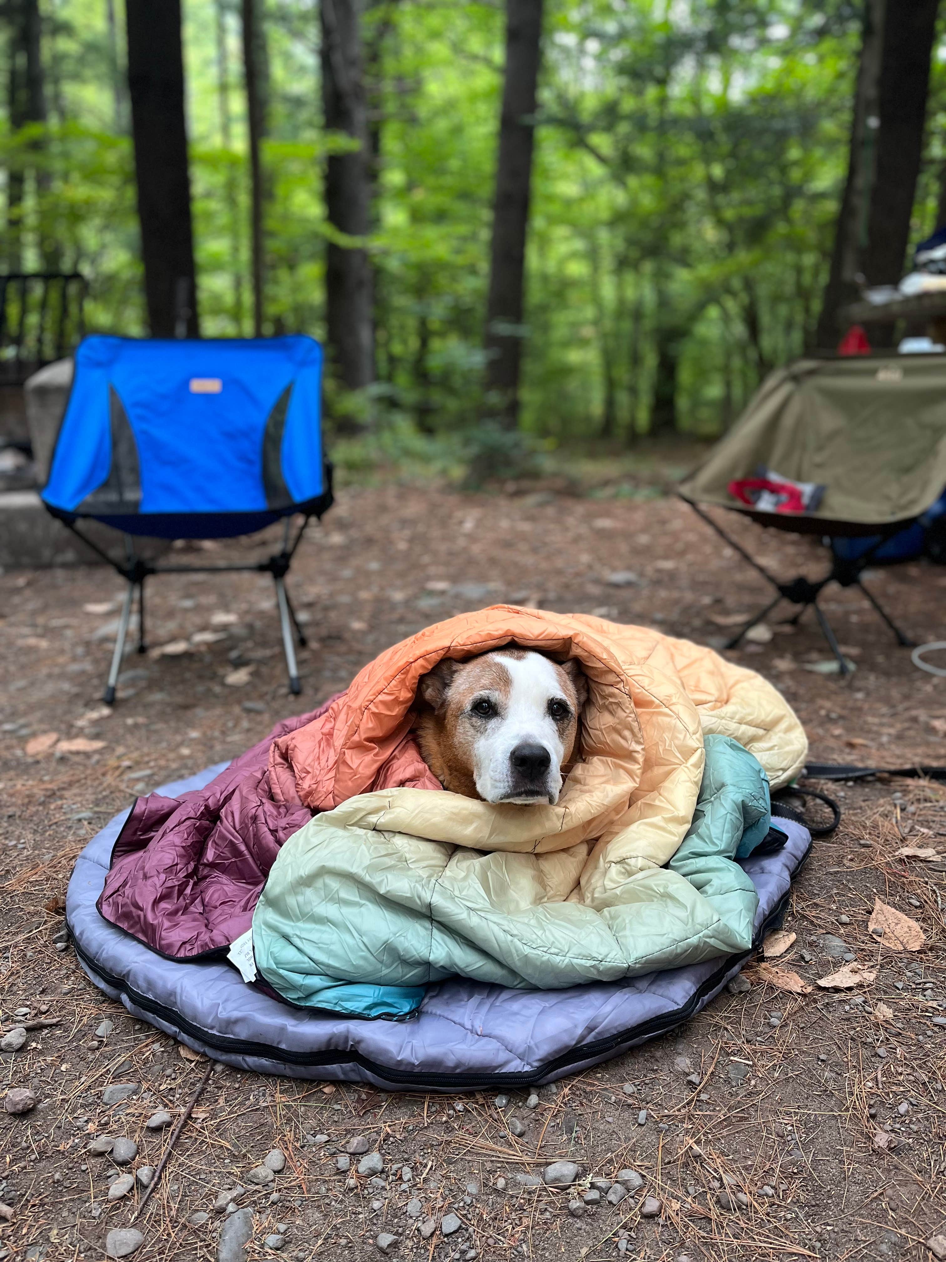 Tara F.'s photo at Catskill/Kenneth L Wilson Campground near Woodstock, NY