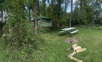 trisha F.'s photo at Heritage Farm Alpaca Experience near Frankfort, IN