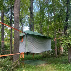 Tree Tent