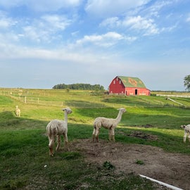 Beautiful Farm Land