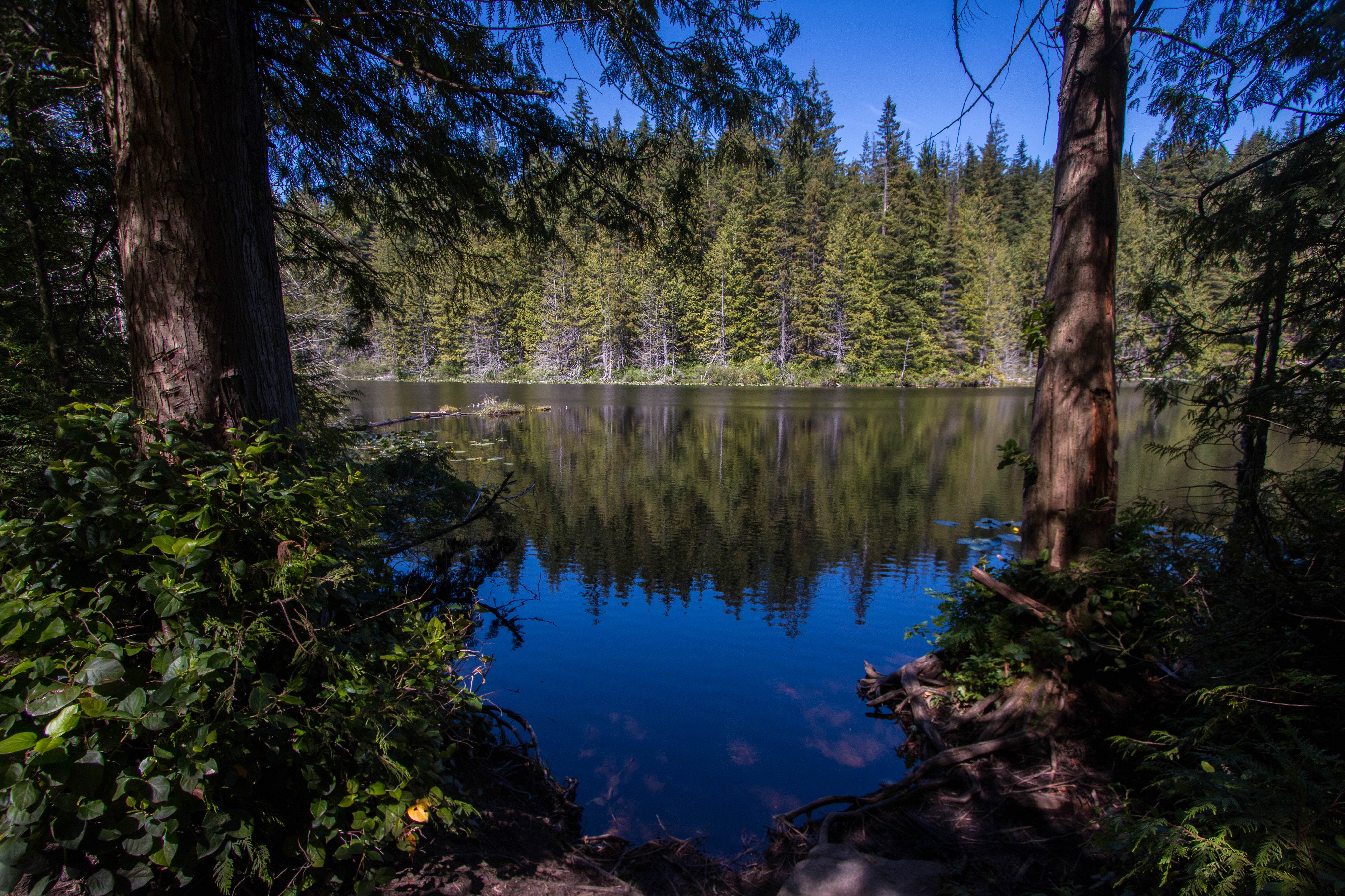 Camper submitted image from Pine and Cedar Lakes Primitive Camping - 3