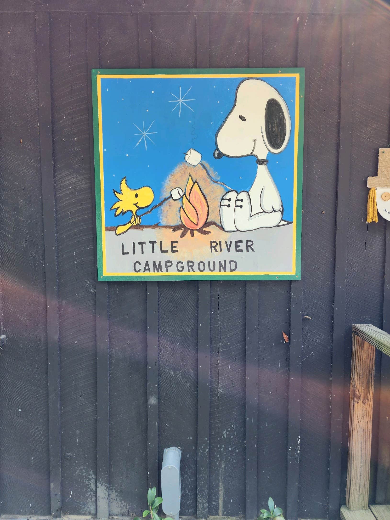 Camper submitted image from Tuckaleechee Campground - 4