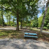 Review photo of Tuckaleechee Campground by Lisa C., September 19, 2022