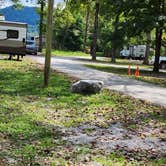 Review photo of Tuckaleechee Campground by Lisa C., September 19, 2022