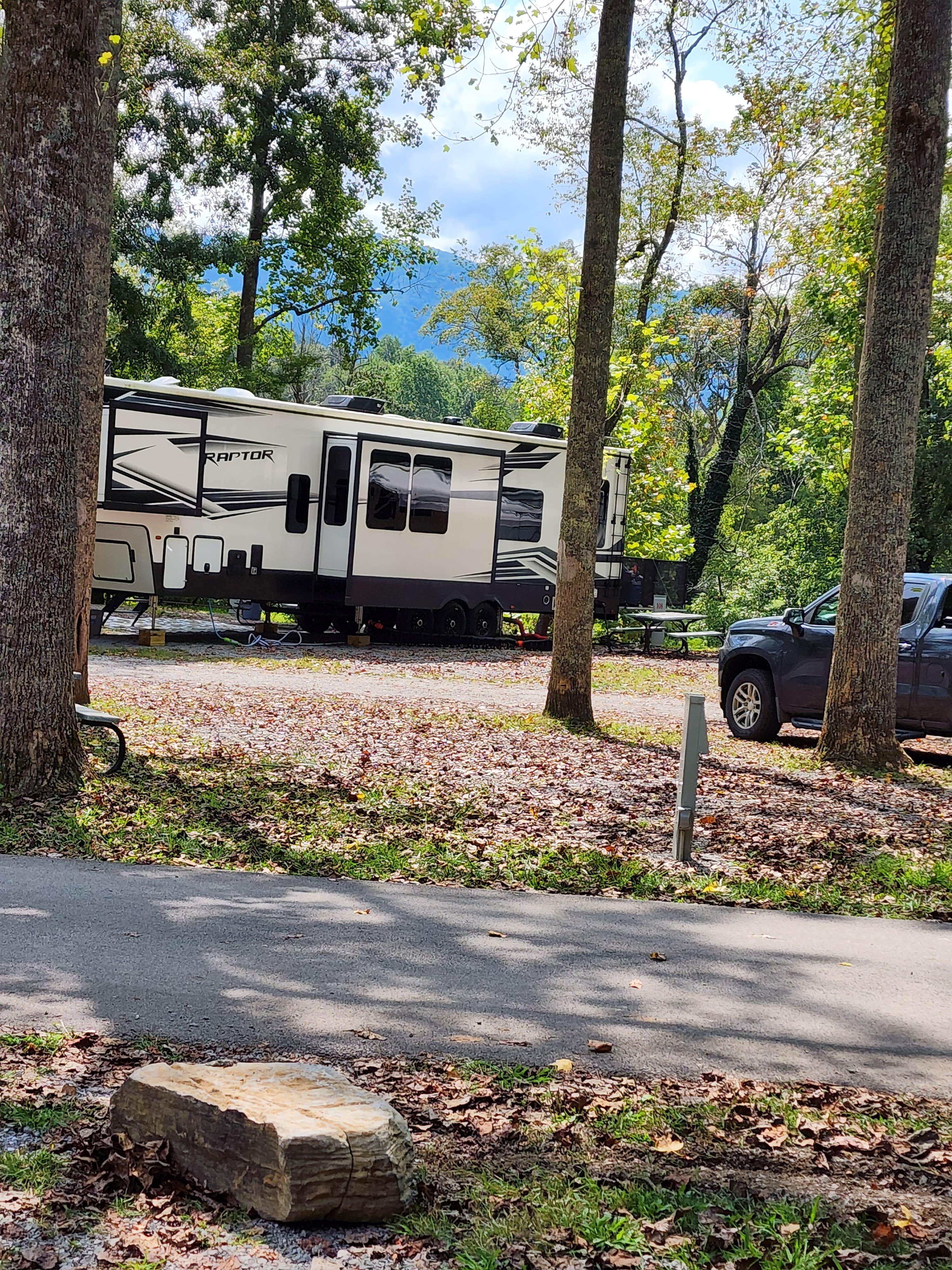 Camper submitted image from Tuckaleechee Campground - 5