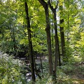 Review photo of Kittatinny Canoes River Beach Campsites by Brittany V., September 12, 2022