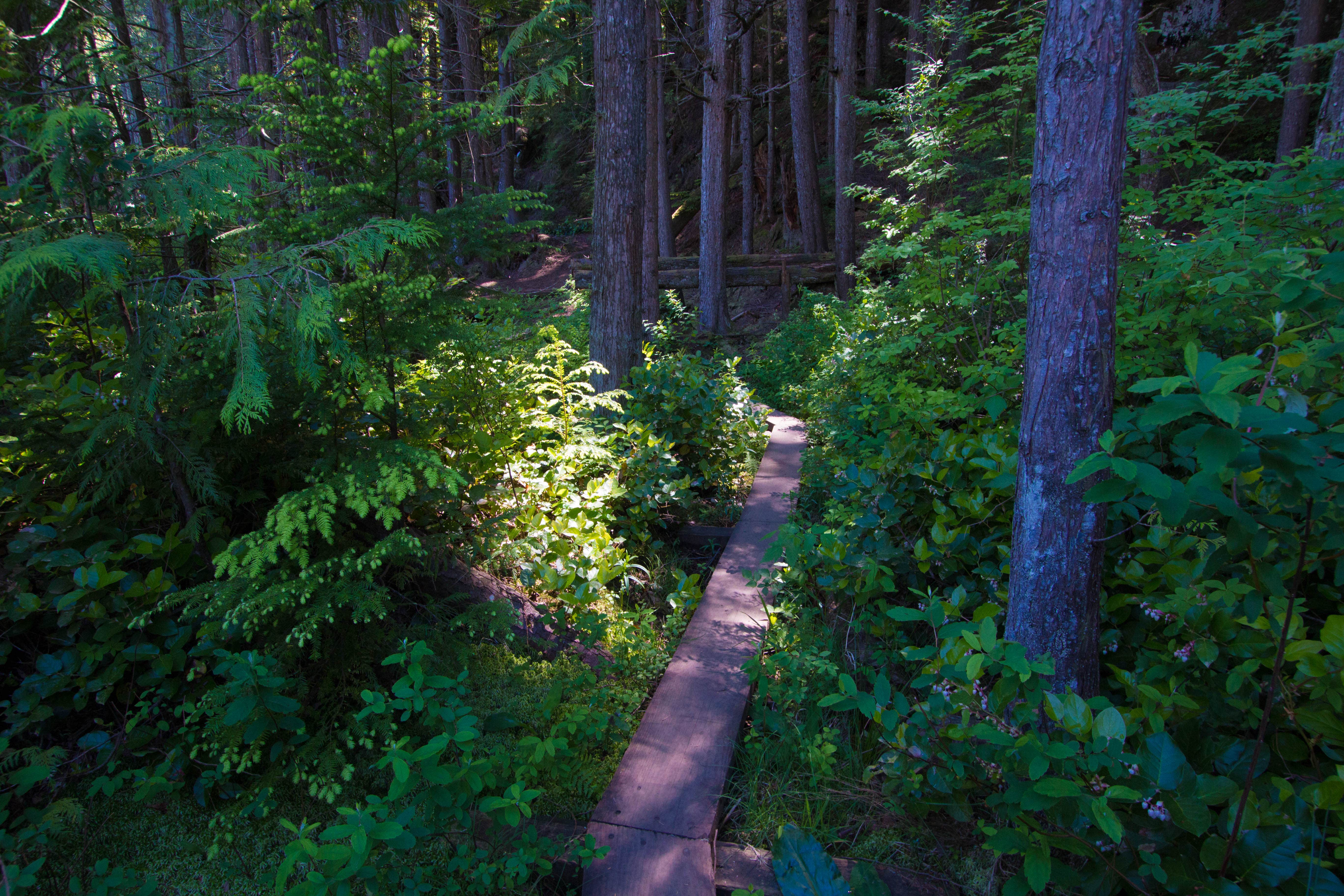 Camper-submitted photo at Pine and Cedar Lakes Primitive Camping near Anacortes, WA