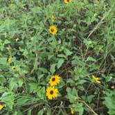 Review photo of Lake Louisa State Park Campground by Florida Life Couple , September 19, 2022