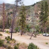 Review photo of Cline Gulch BLM Dispersed by Eric G., September 19, 2022