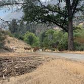 Review photo of Cline Gulch BLM Dispersed by Eric G., September 19, 2022