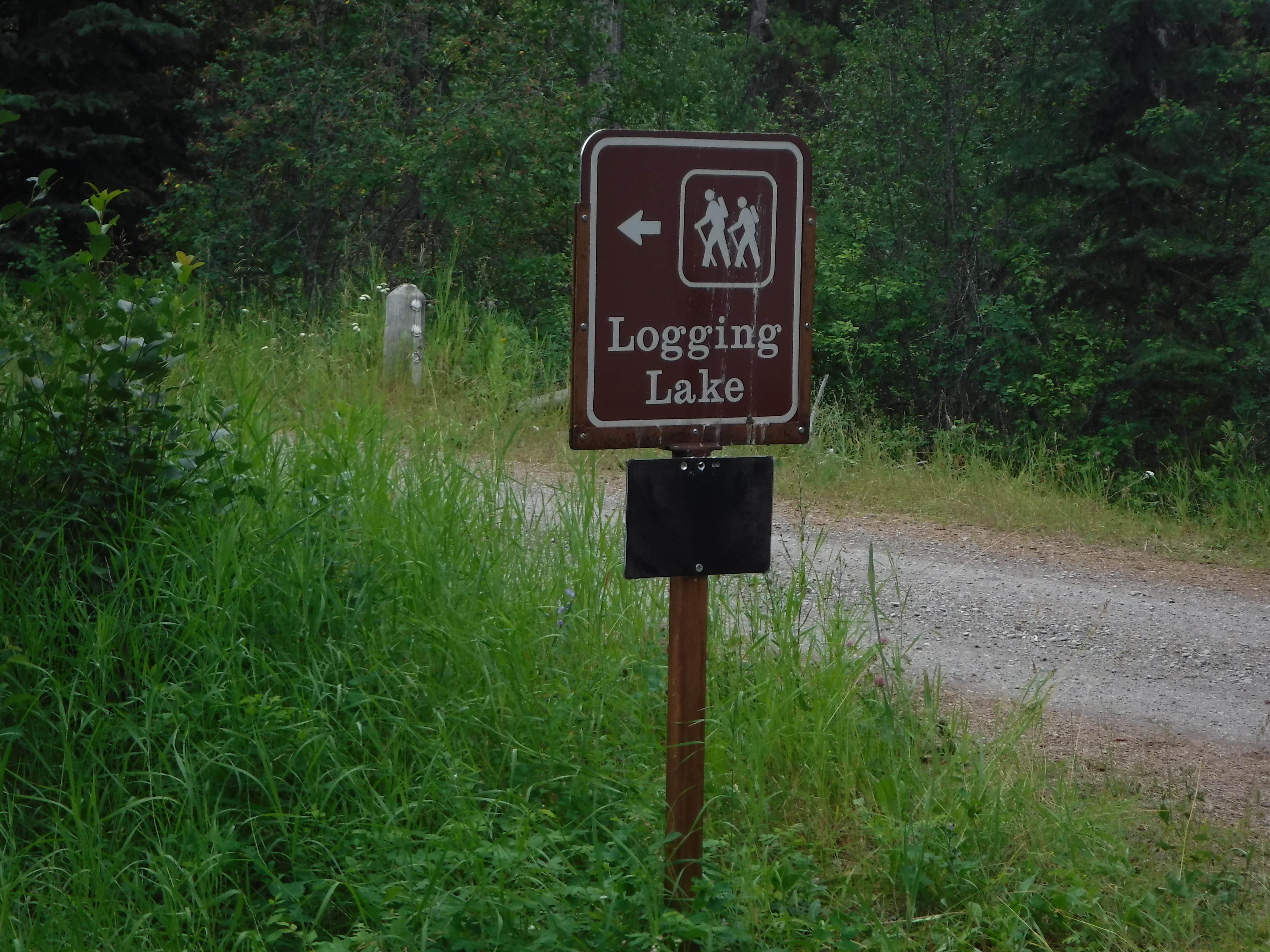 Camper submitted image from Logging Creek Campground — Glacier National Park - 2