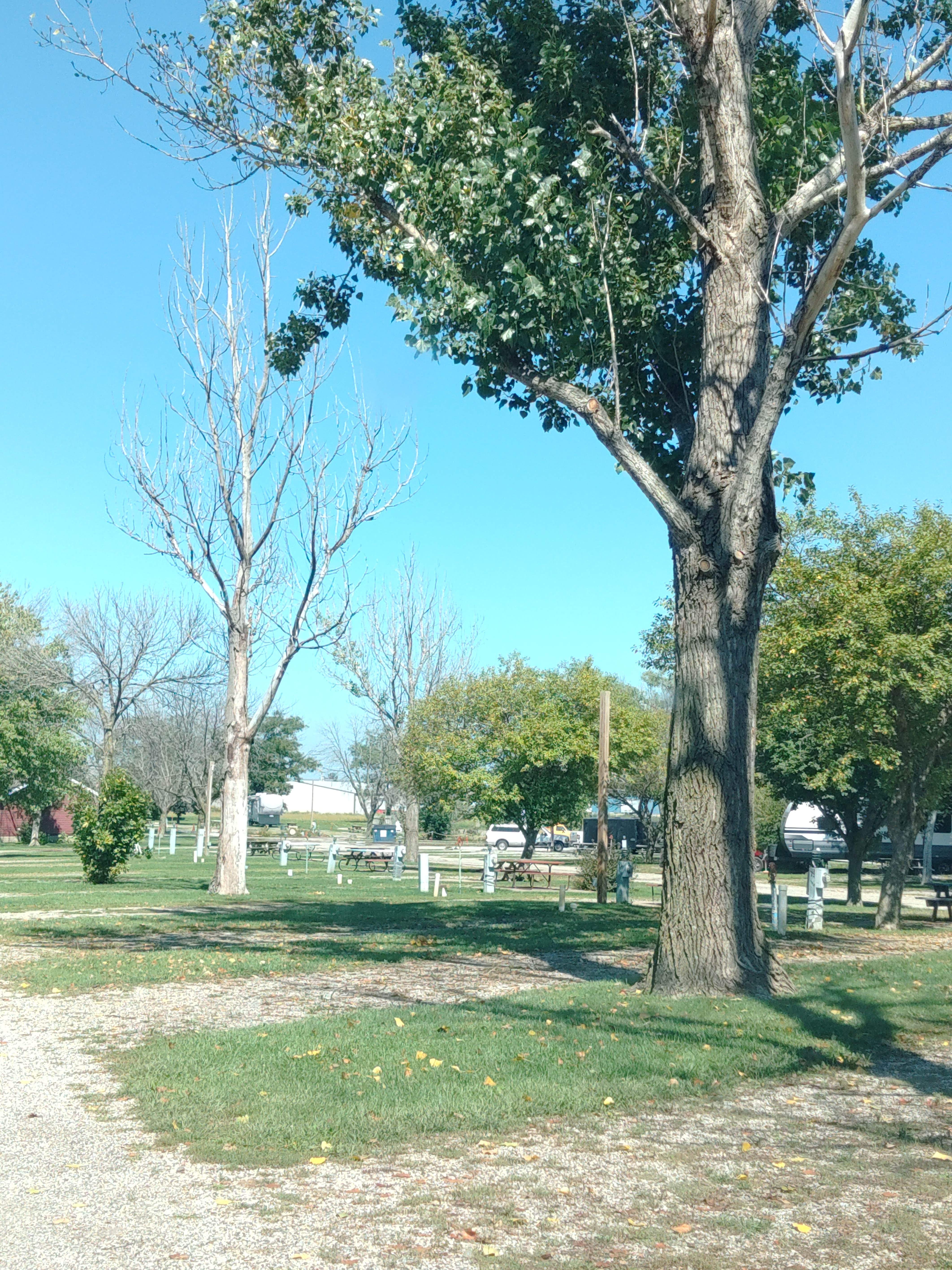 Camper-submitted photo at Interstate RV Park near Oxford Junction, IA