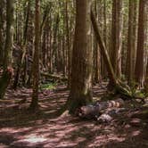 Review photo of Pine and Cedar Lakes Primitive Camping by Danielle S., August 4, 2016