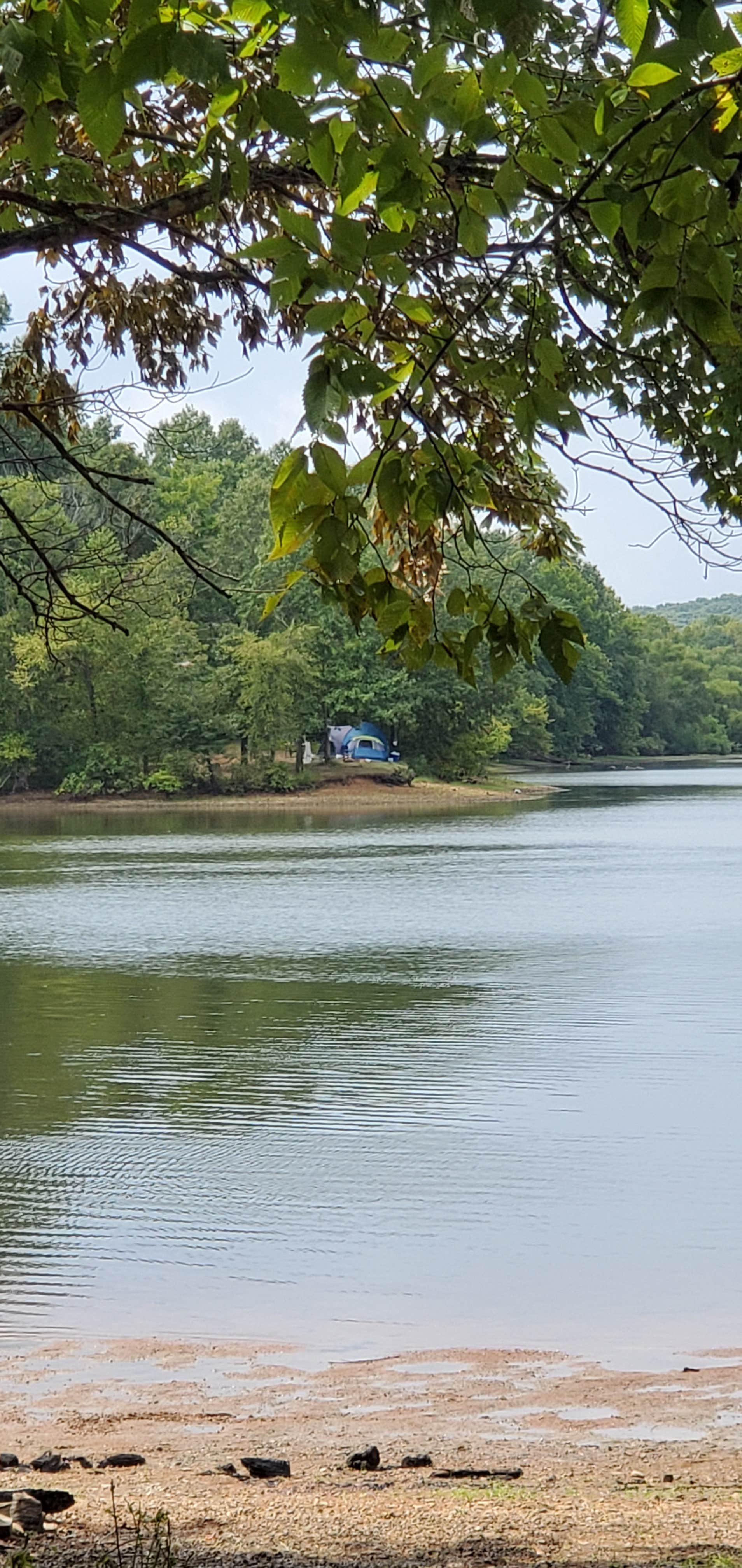 Camper-submitted photo at Old Boy Scout Campground near Cadiz, KY