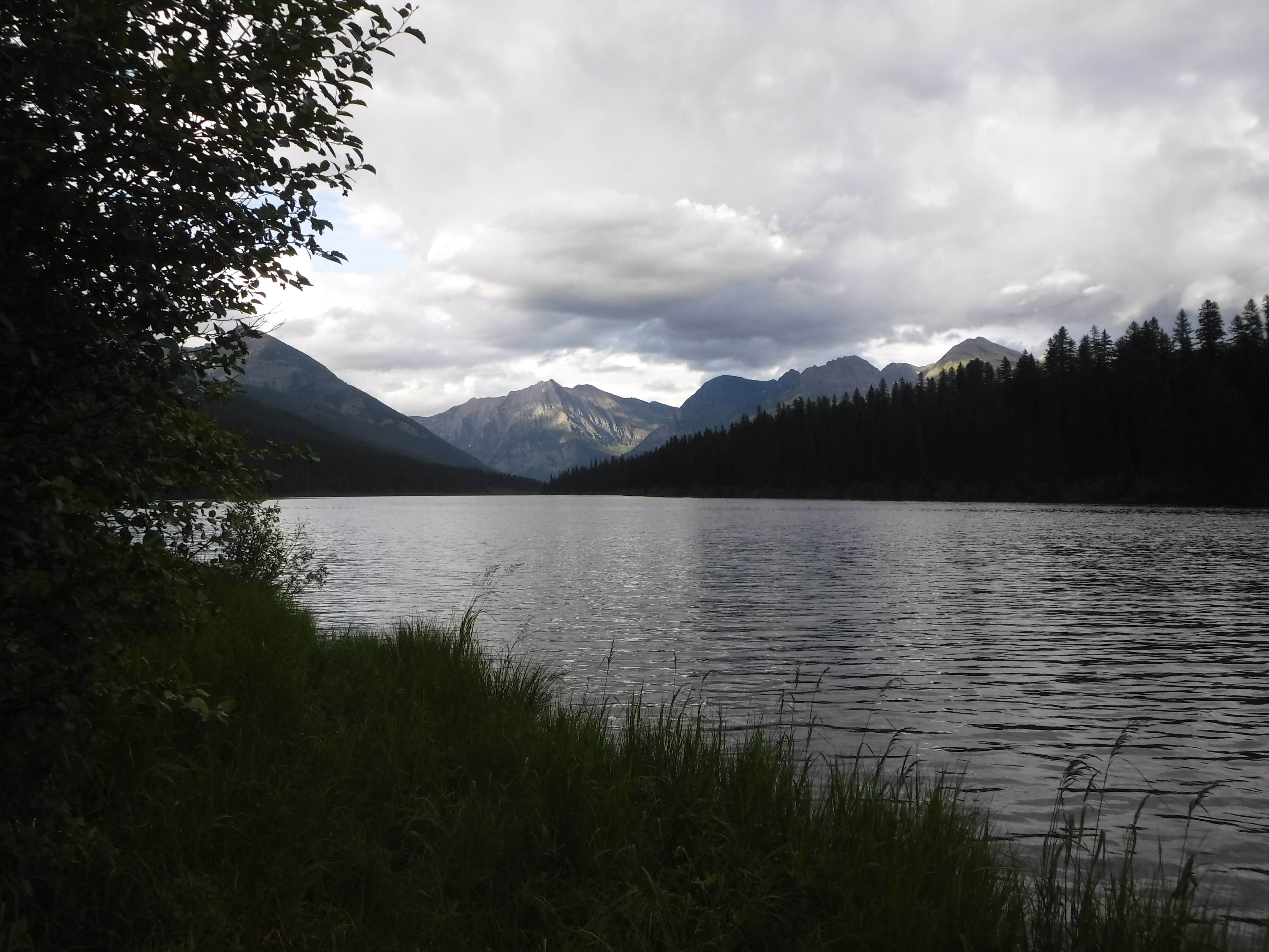 Camper submitted image from Logging Creek Campground — Glacier National Park - 3