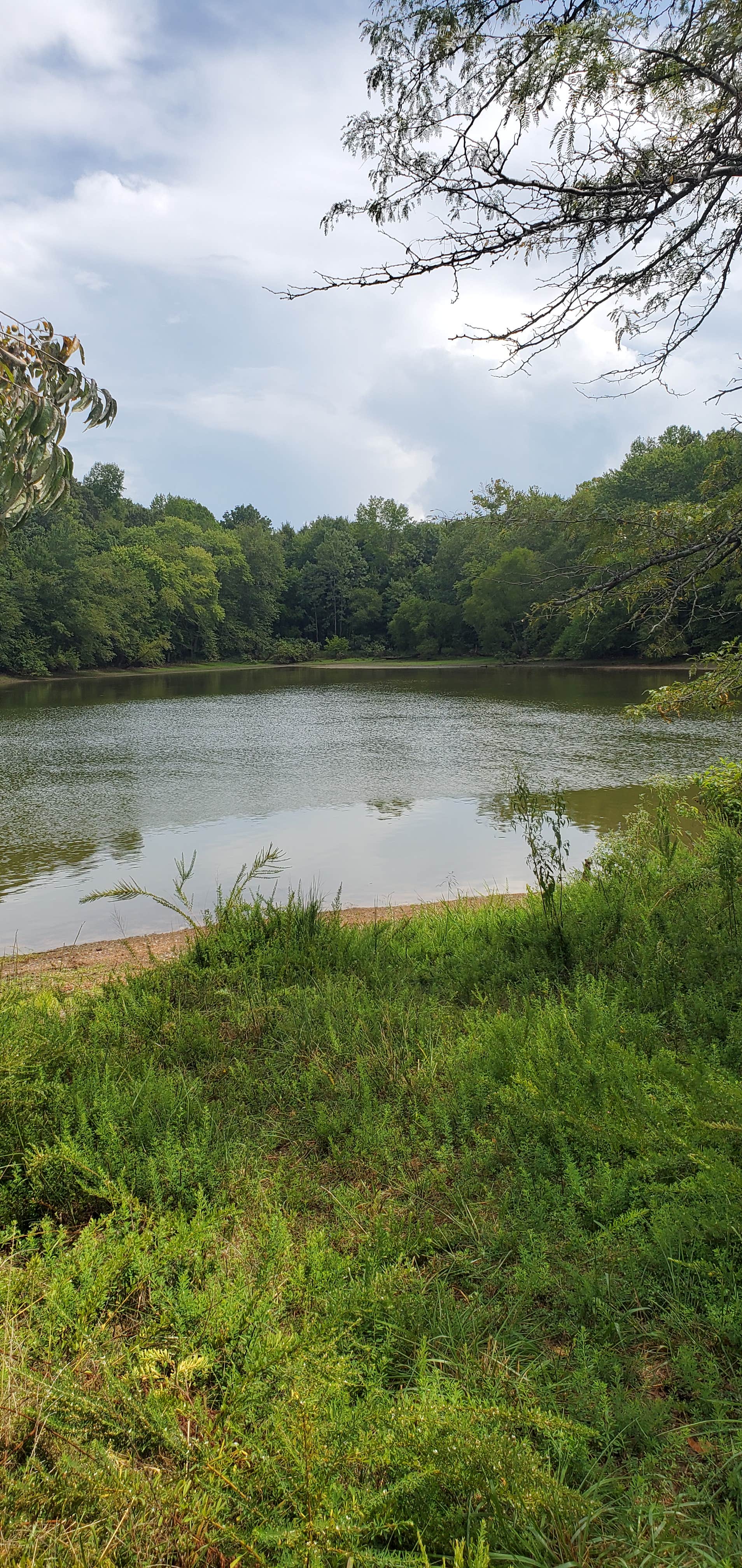 Camper-submitted photo at Old Boy Scout Campground near Cadiz, KY