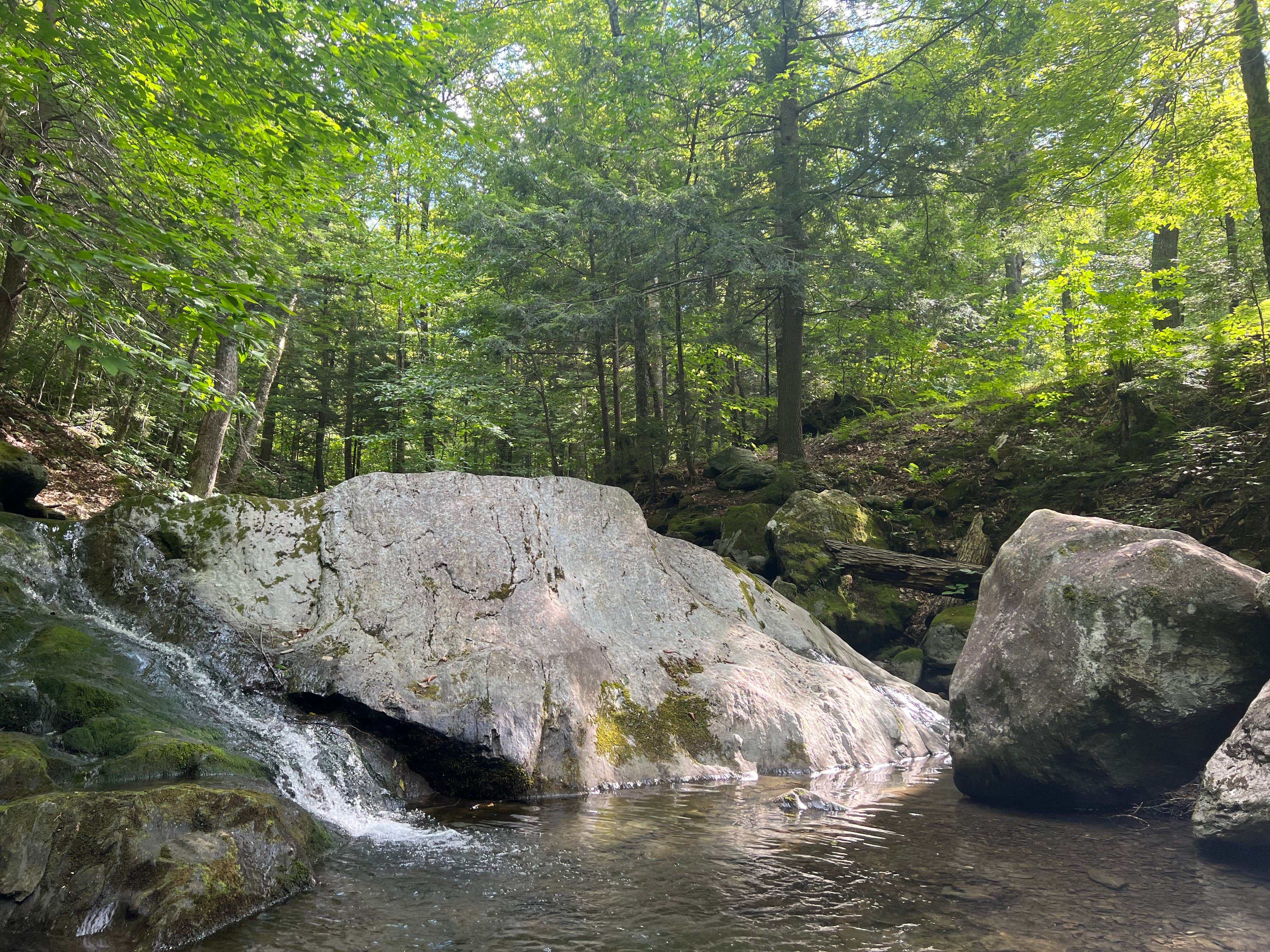 Camper-submitted photo at Stony Brook Backcountry Shelter on the AT in Vermont — Appalachian National Scenic Trail near Poultney, VT