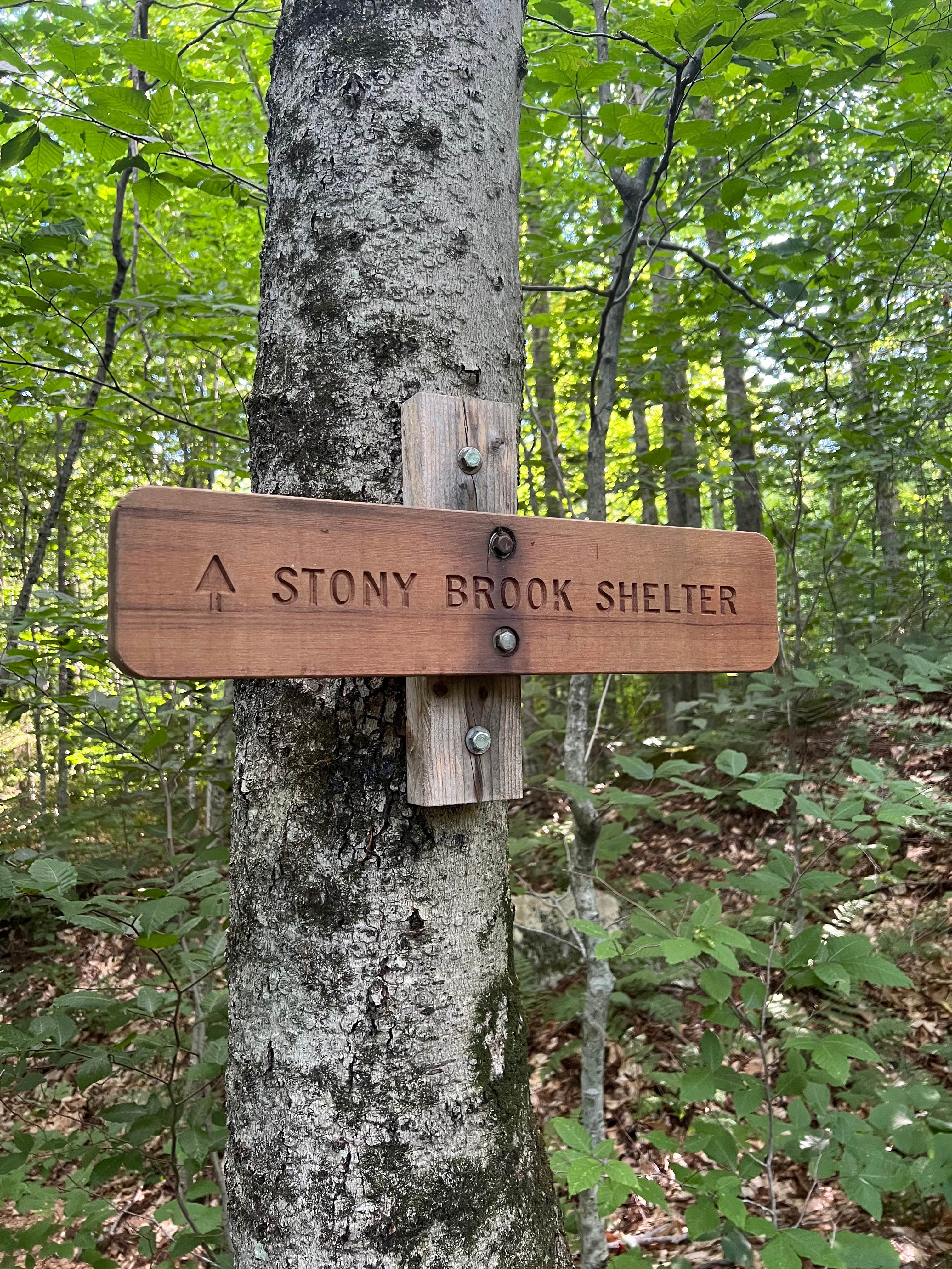 Camper-submitted photo at Stony Brook Backcountry Shelter on the AT in Vermont — Appalachian National Scenic Trail near Poultney, VT
