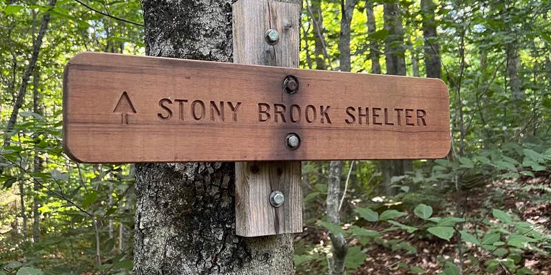 Camper submitted image from Stony Brook Backcountry Shelter on the AT in Vermont — Appalachian National Scenic Trail