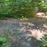 Review photo of Stony Brook Backcountry Shelter on the AT in Vermont — Appalachian National Scenic Trail by Justin P., September 19, 2022