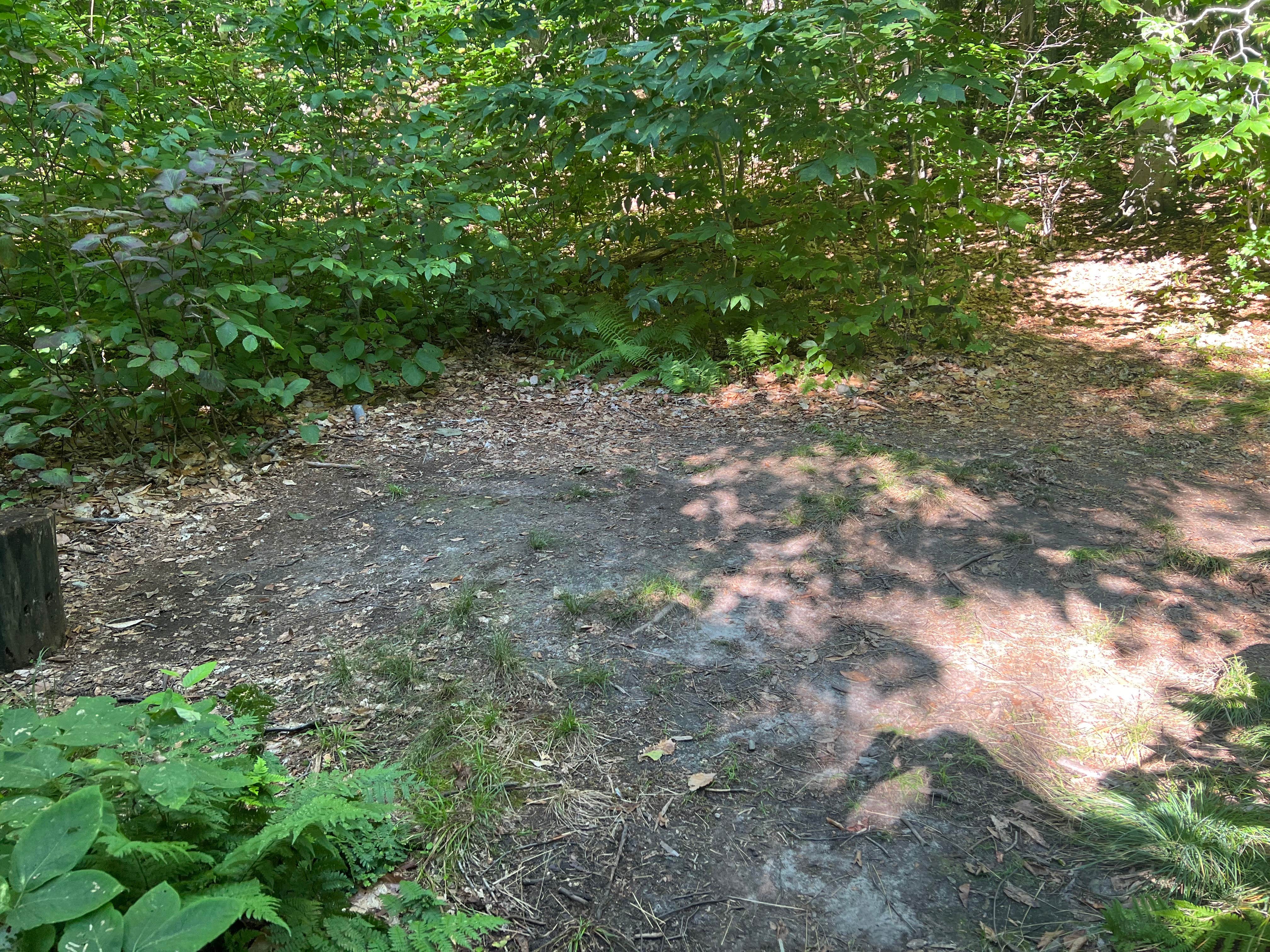 Camper submitted image from Stony Brook Backcountry Shelter on the AT in Vermont — Appalachian National Scenic Trail - 2