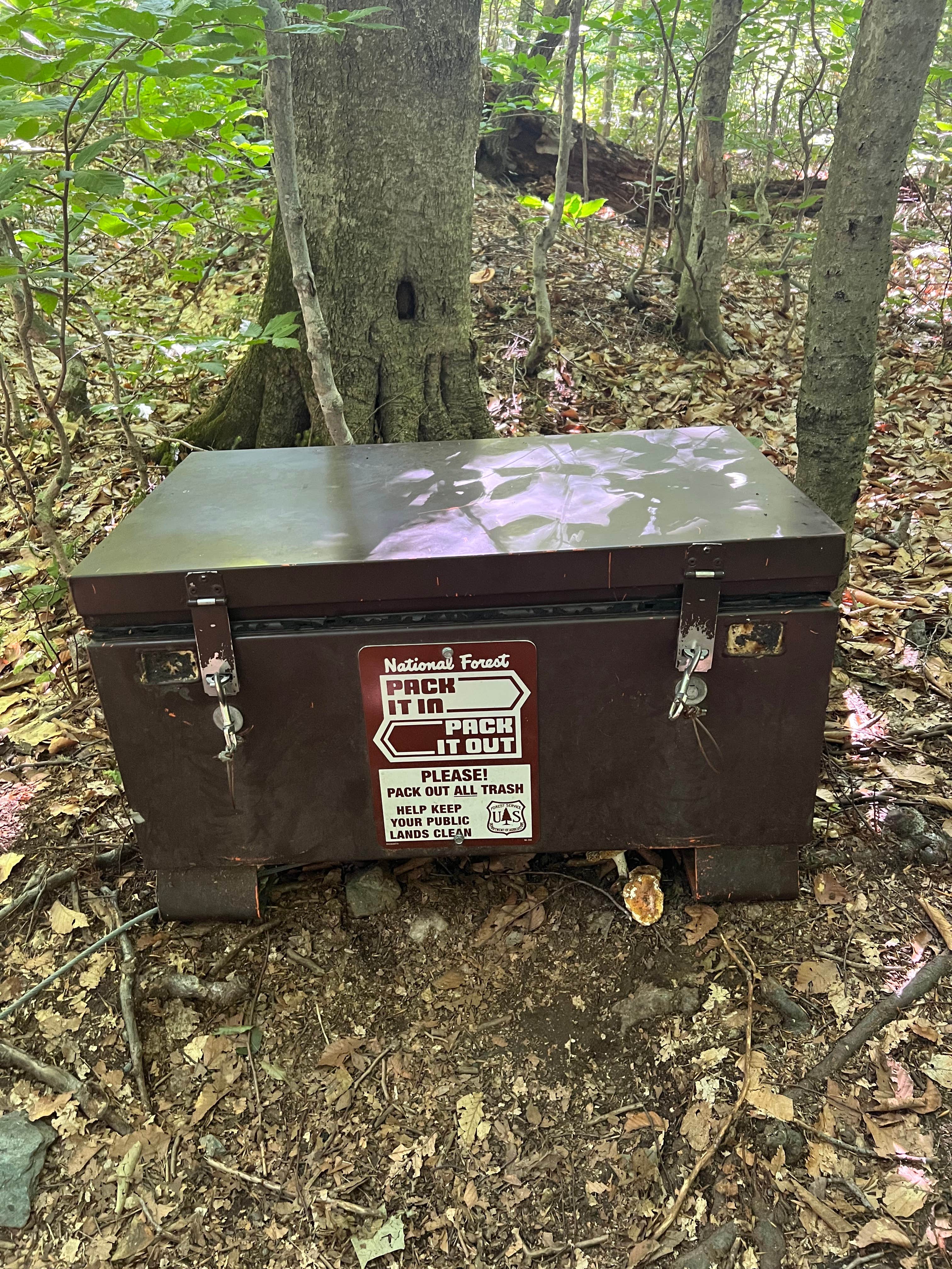 Camper-submitted photo at Stony Brook Backcountry Shelter on the AT in Vermont — Appalachian National Scenic Trail near Poultney, VT