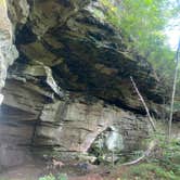 Review photo of Bandy Creek Campground — Big South Fork National River and Recreation Area by Shelly S., September 19, 2022