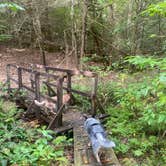 Review photo of Bandy Creek Campground — Big South Fork National River and Recreation Area by Shelly S., September 19, 2022