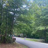 Review photo of Bandy Creek Campground — Big South Fork National River and Recreation Area by Shelly S., September 19, 2022