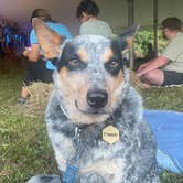 Review photo of Bandy Creek Campground — Big South Fork National River and Recreation Area by Shelly S., September 19, 2022