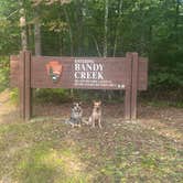 Review photo of Bandy Creek Campground — Big South Fork National River and Recreation Area by Shelly S., September 19, 2022