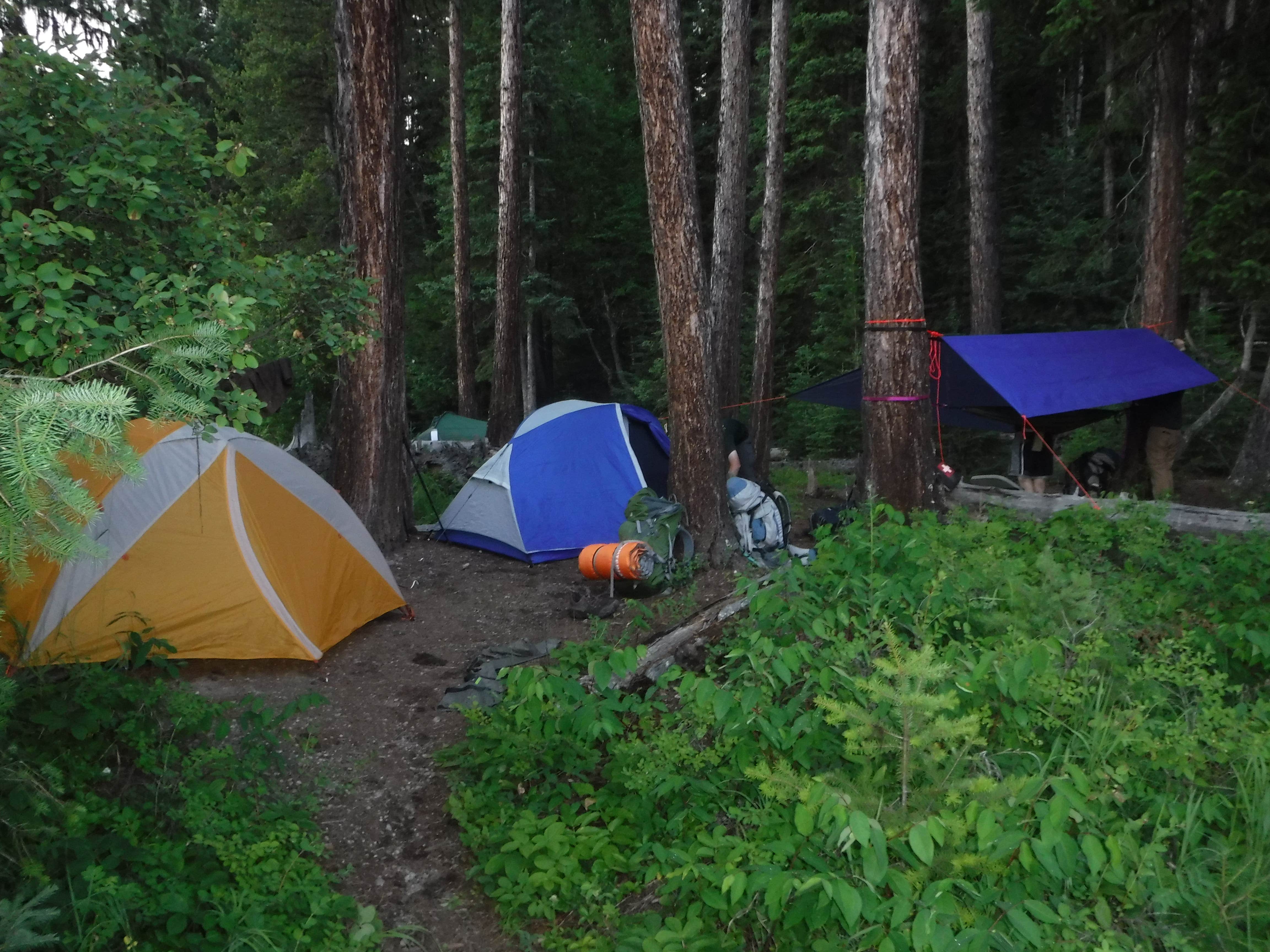 Camper submitted image from Logging Creek Campground — Glacier National Park - 5