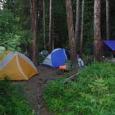 Review photo of Logging Creek Campground — Glacier National Park by Mara F., September 2, 2018